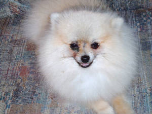 cowboy022220076.jpg