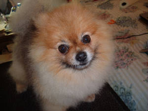 flash121820062.jpg