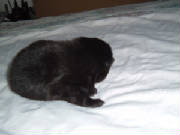 mckennasgold122520063.jpg