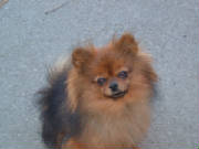 mystie3282007.jpg