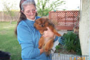 mystie4920052.jpg
